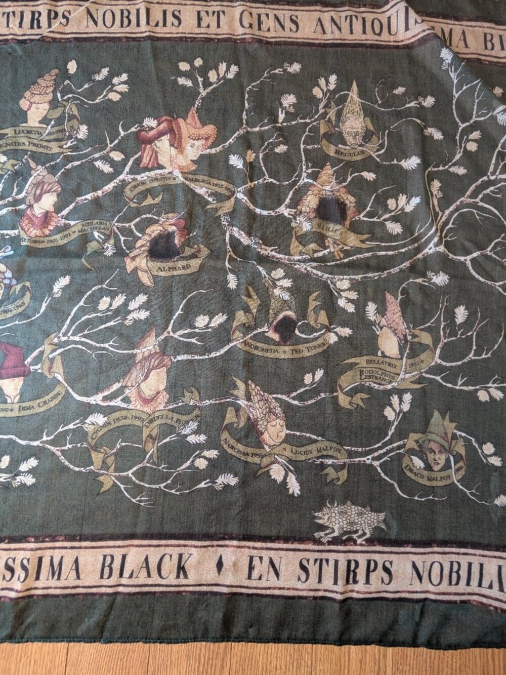 Harry Potter Family Black ancestry Bioworld Scarf
